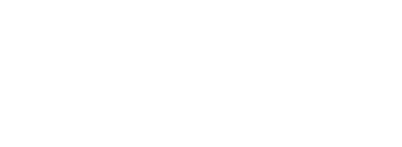 Novaplay Logo